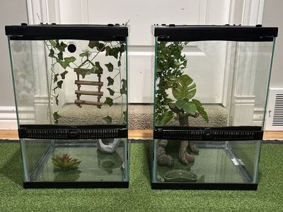 Reptile Cages with Decor