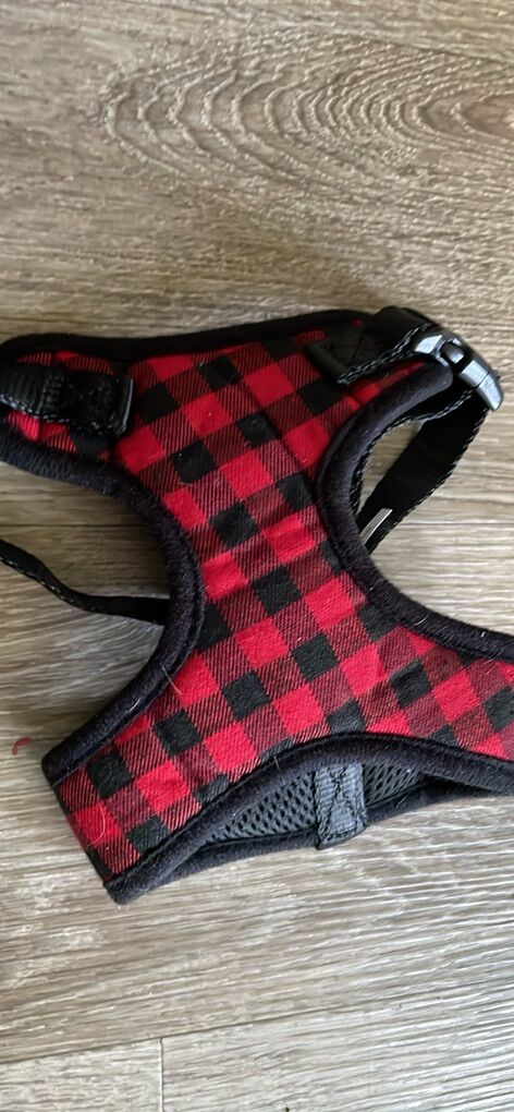 Dog Harness Holiday Christmas Tails xsmall