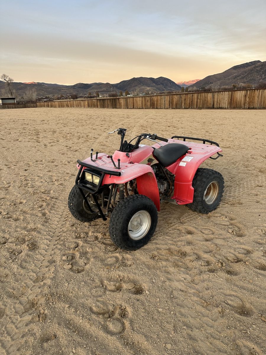 1993 Yamaha Timberwolf