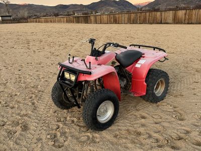 1993 Yamaha Timberwolf