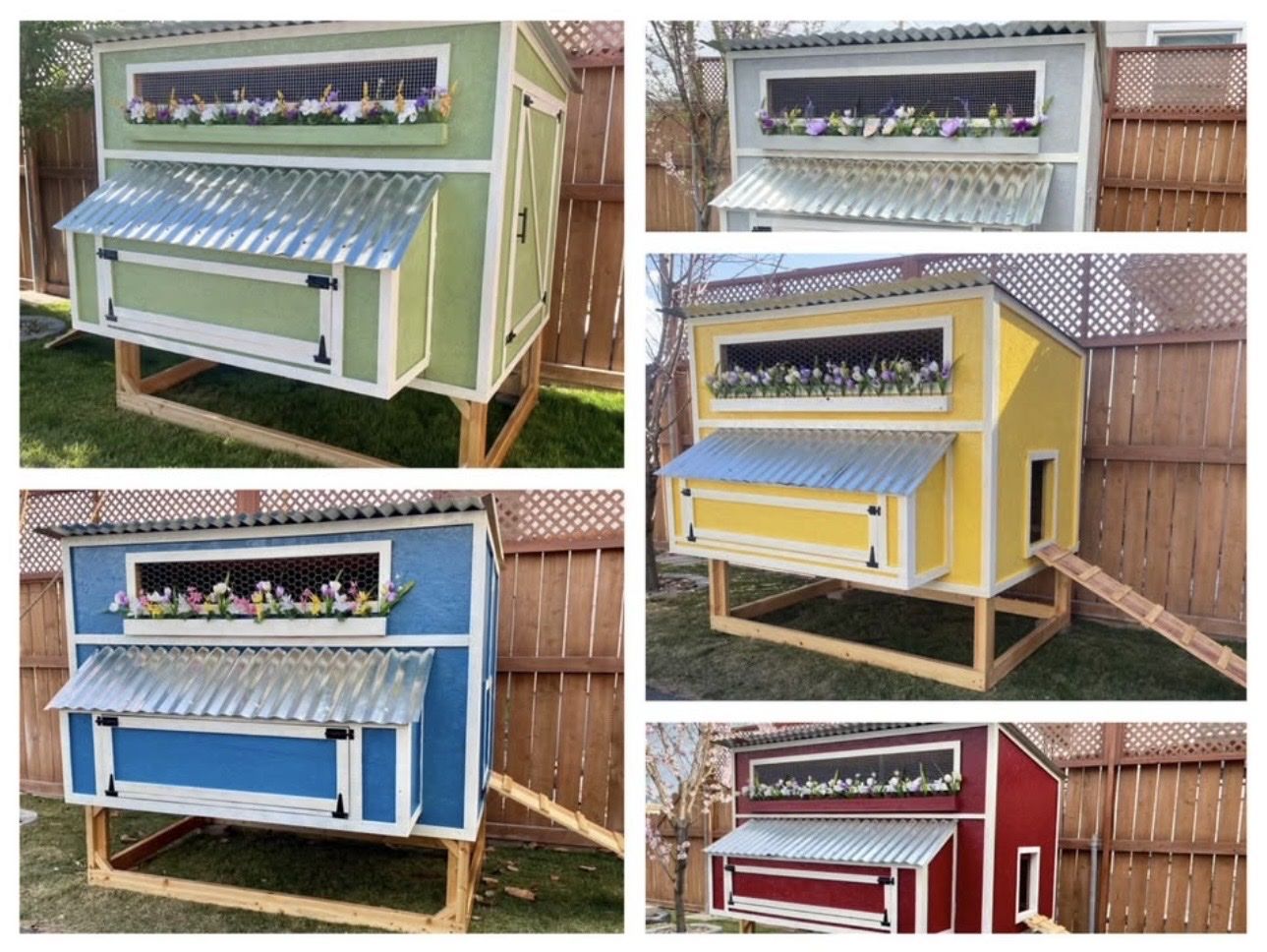 Custom Built Chicken Coops - Various Colors Available, Durable Design
