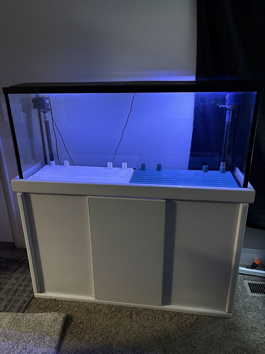 55 gl aquarium with stand and filter