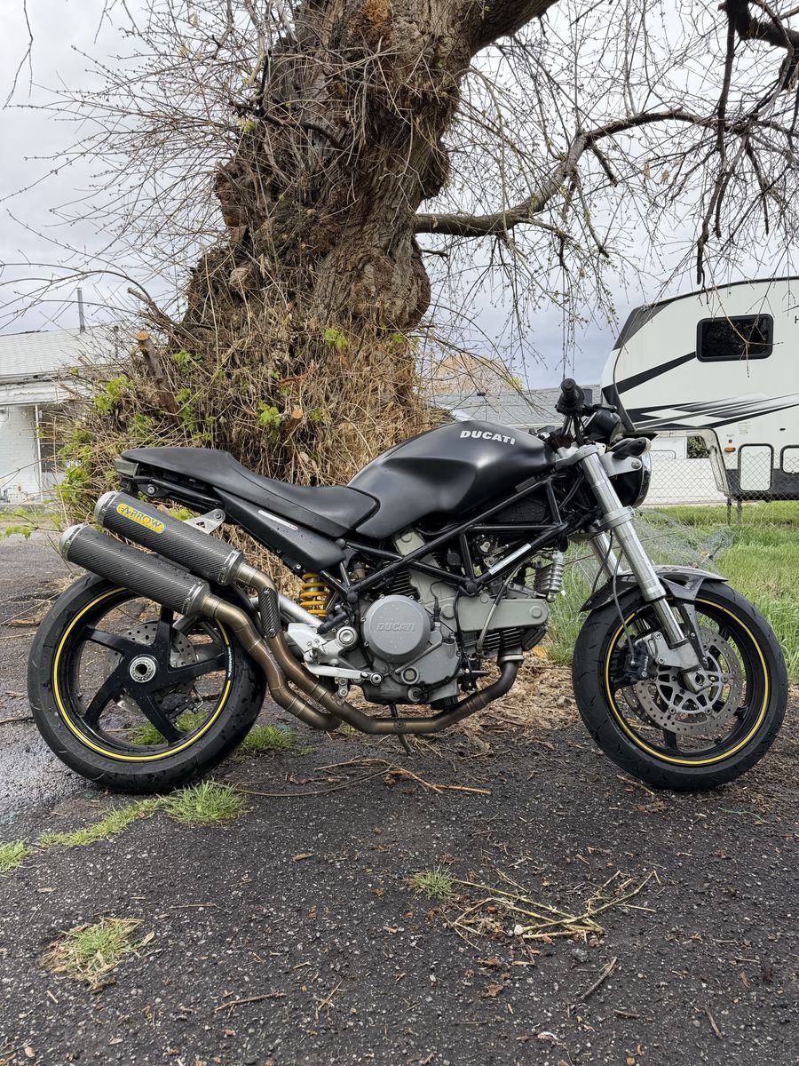 Ducati monster 800