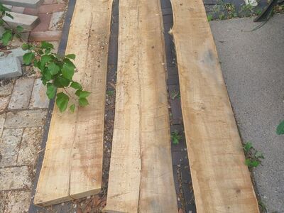 (#6) Elm Wood Slabs-$5 Board Foot
