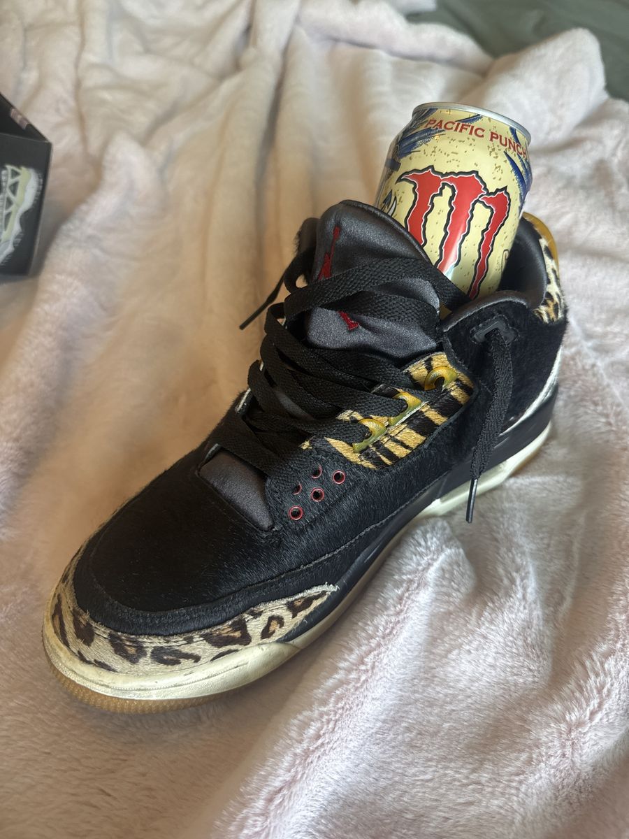 Air Jordan 3 Retro SE—Animal Instinct