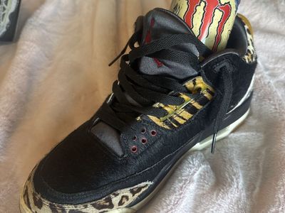 Air Jordan 3 Retro SE—Animal Instinct