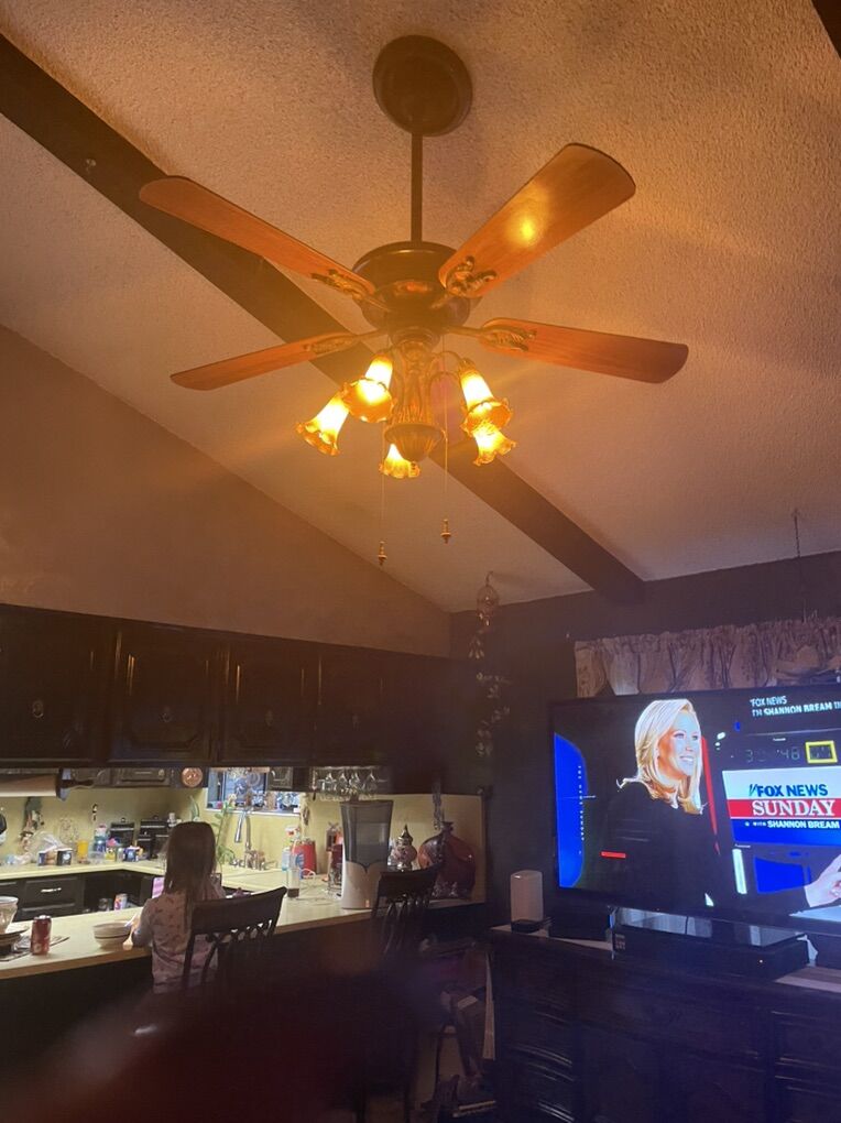 Victorian Ceiling Fan