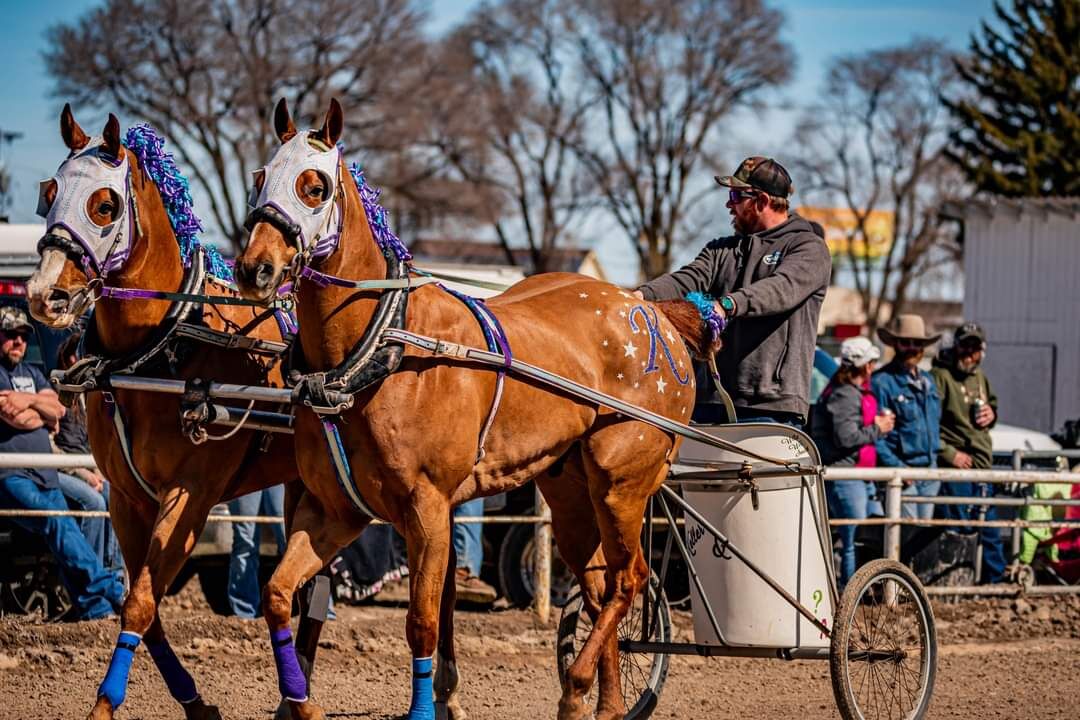 Cutter/Chariot Race team