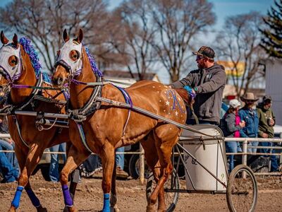 Cutter/Chariot Race team