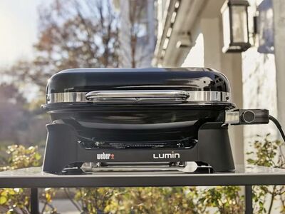 Electric Grill Sear, Smoke, Steam or Boil