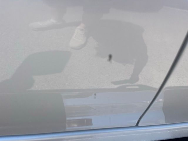 Main image 6