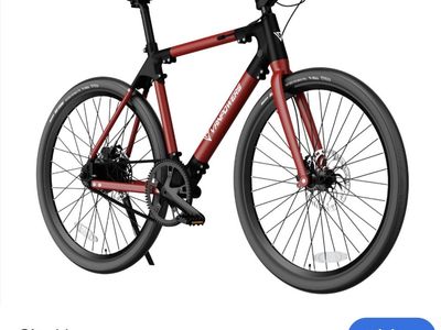Vanpowers Ebike