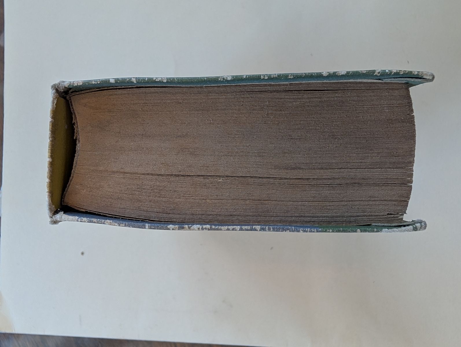 Main image 4
