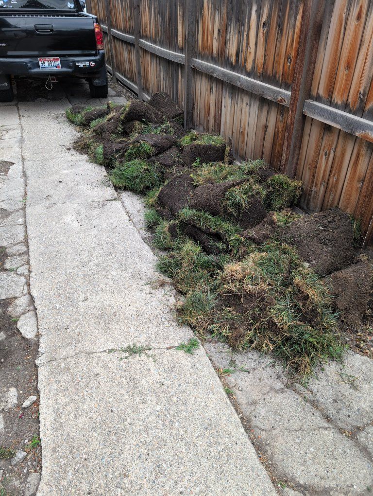 Free Sod/Turf/Grass - Multiple Rolls, Ready for Pickup
