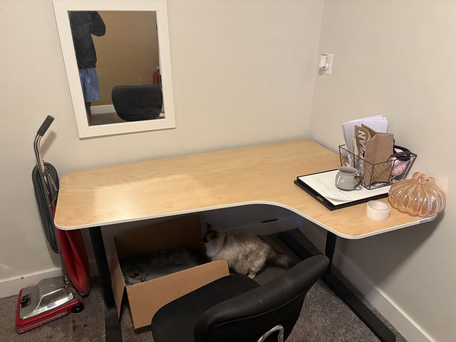 L Desk