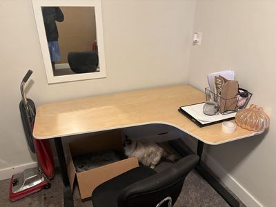 L Desk