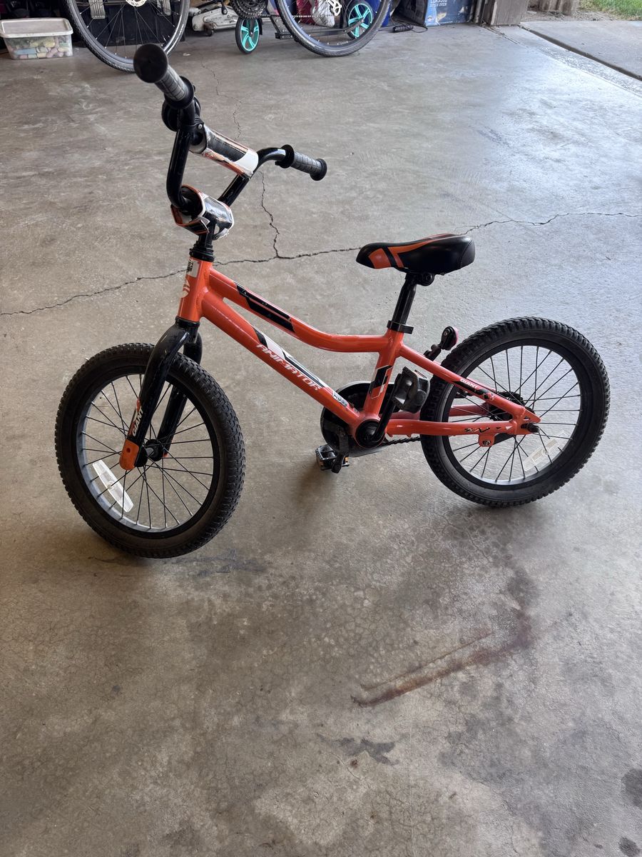Giant Animator 16 Inch Kids Bicycle - Orange/Black