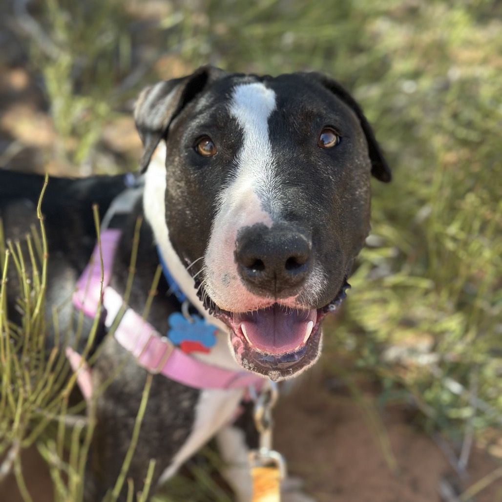 Hello my name is Eowyn