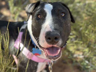 Hello my name is Eowyn