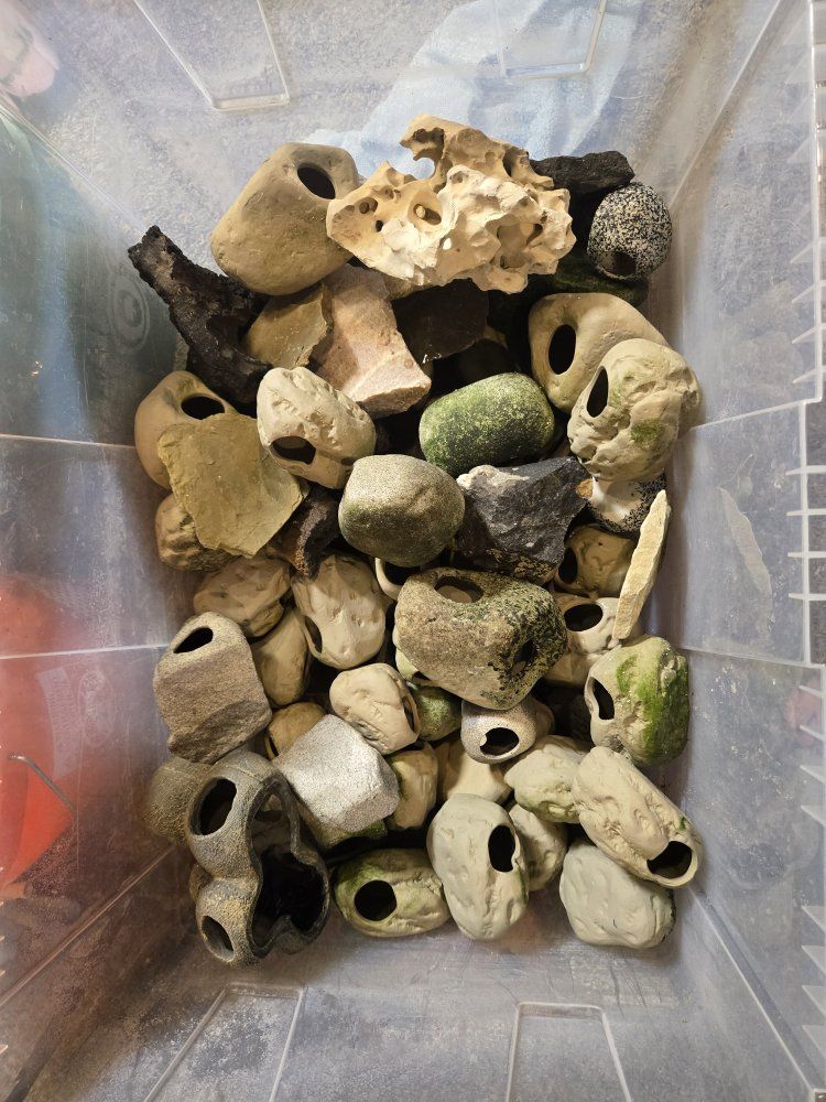 Main image 3