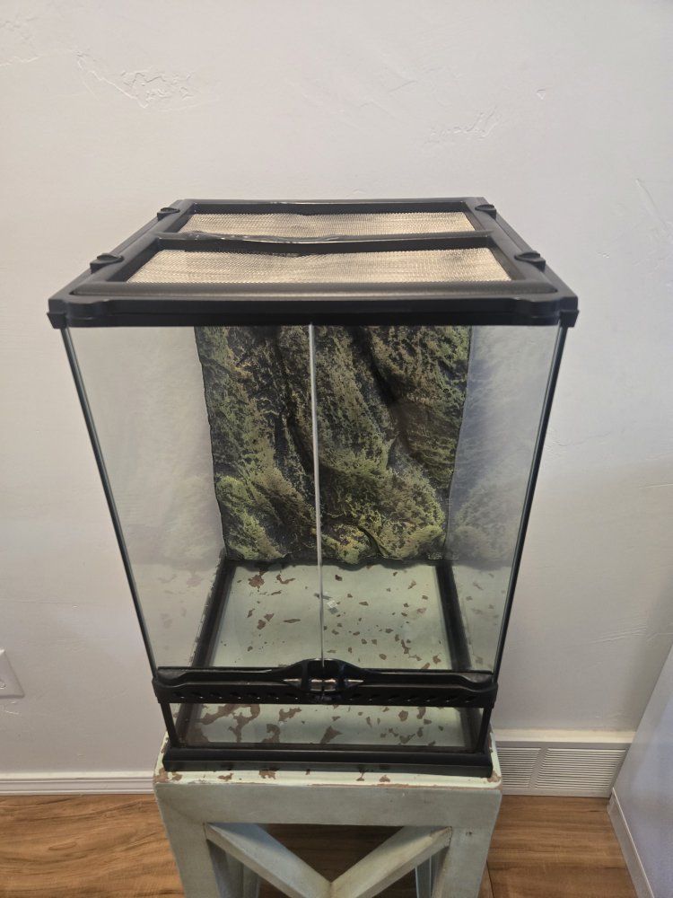 Main image 2