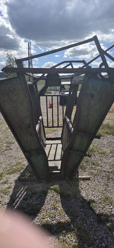 cattle chute