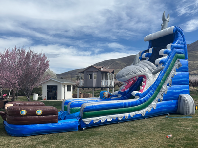 Water Slide Rentals