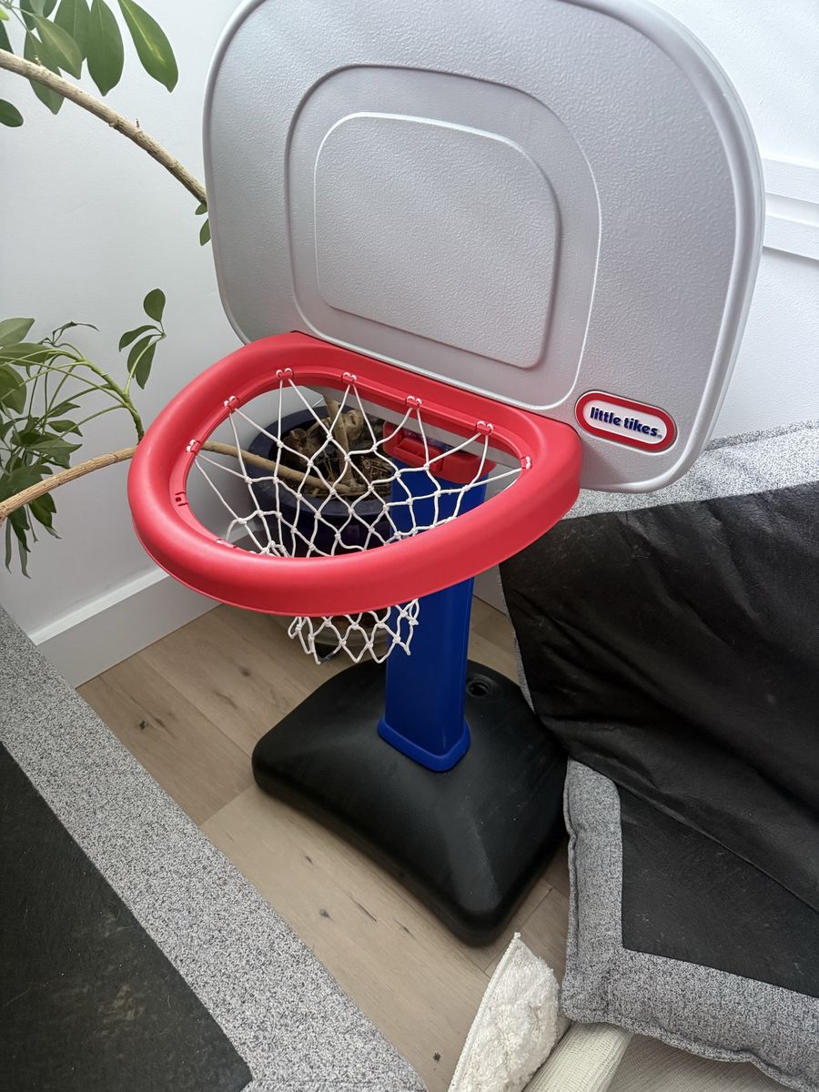 Little tykes basketball hoop