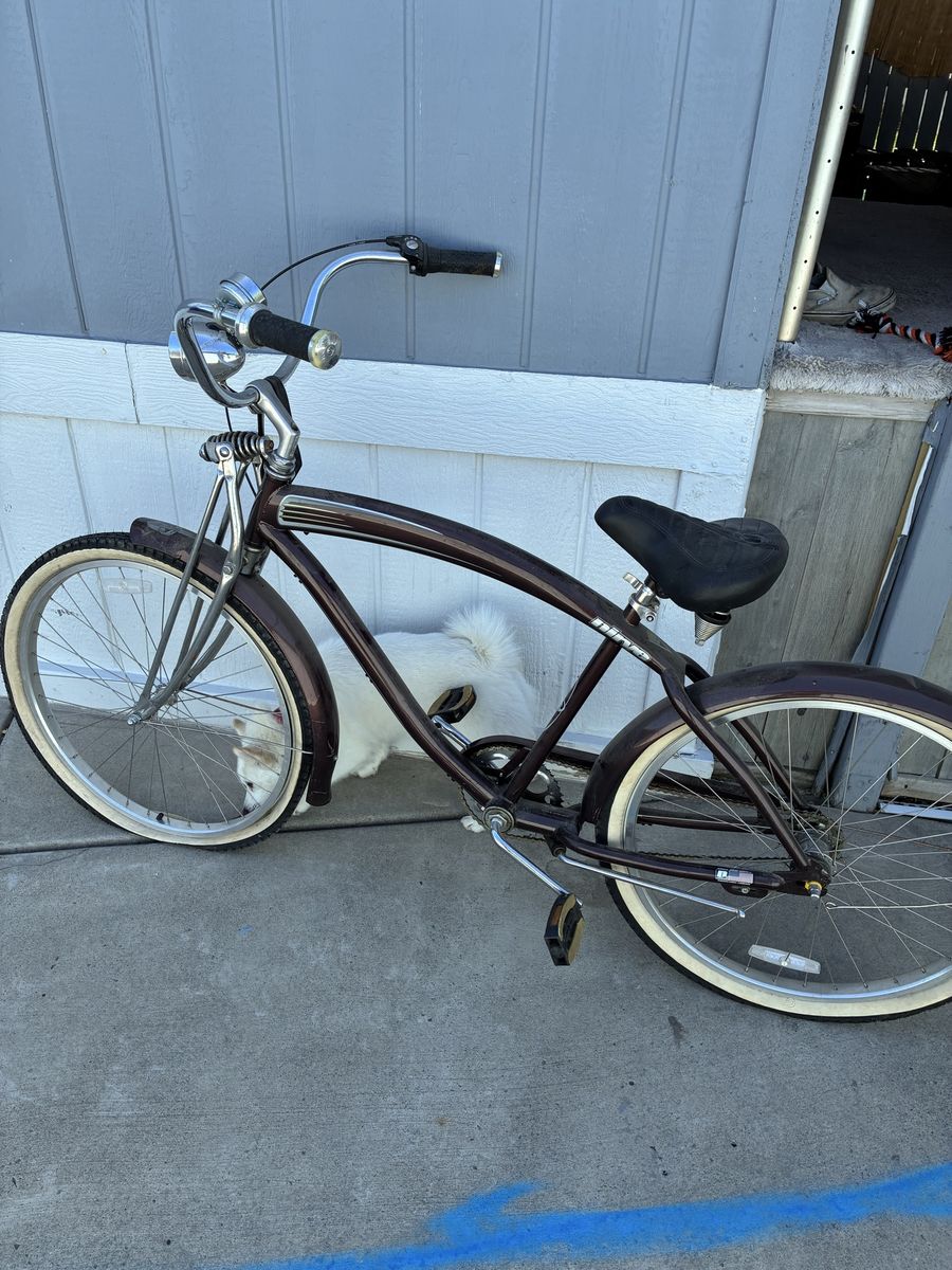 NIRVE 53 SERIES BEACH CRUISER