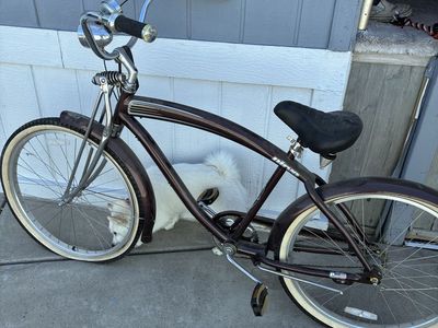 NIRVE 53 SERIES BEACH CRUISER