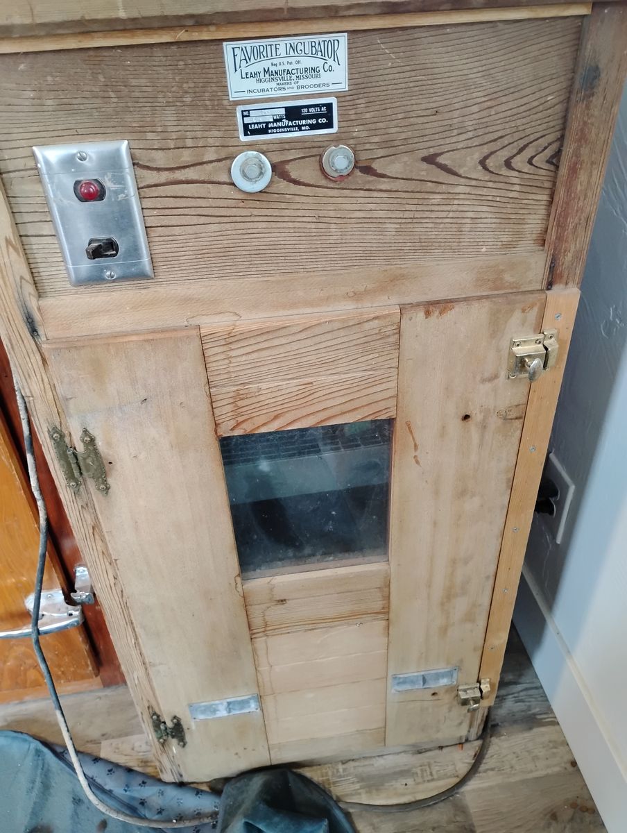 Functioning Old-school Cabinet Incubator