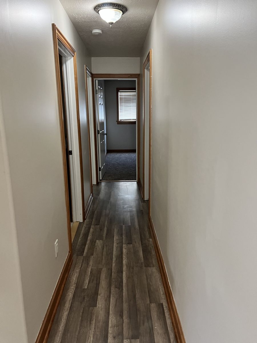Main image 5