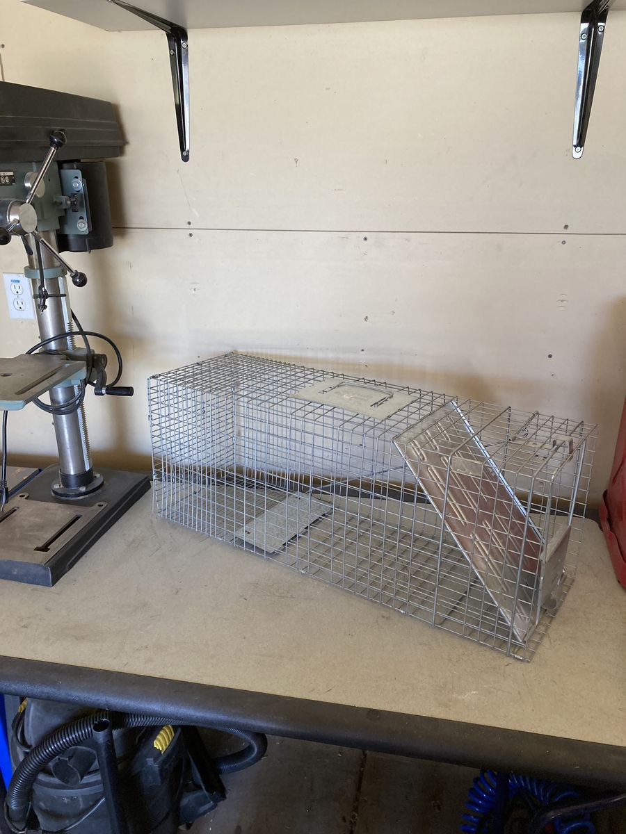 Large live animal trap
