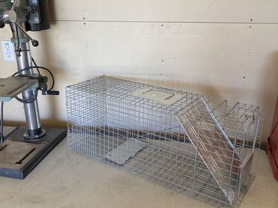 Large live animal trap