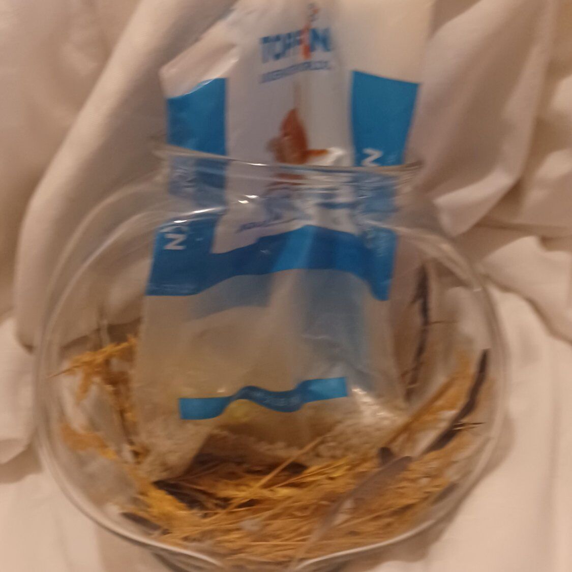 SMALL GLASS FISHBOWL!