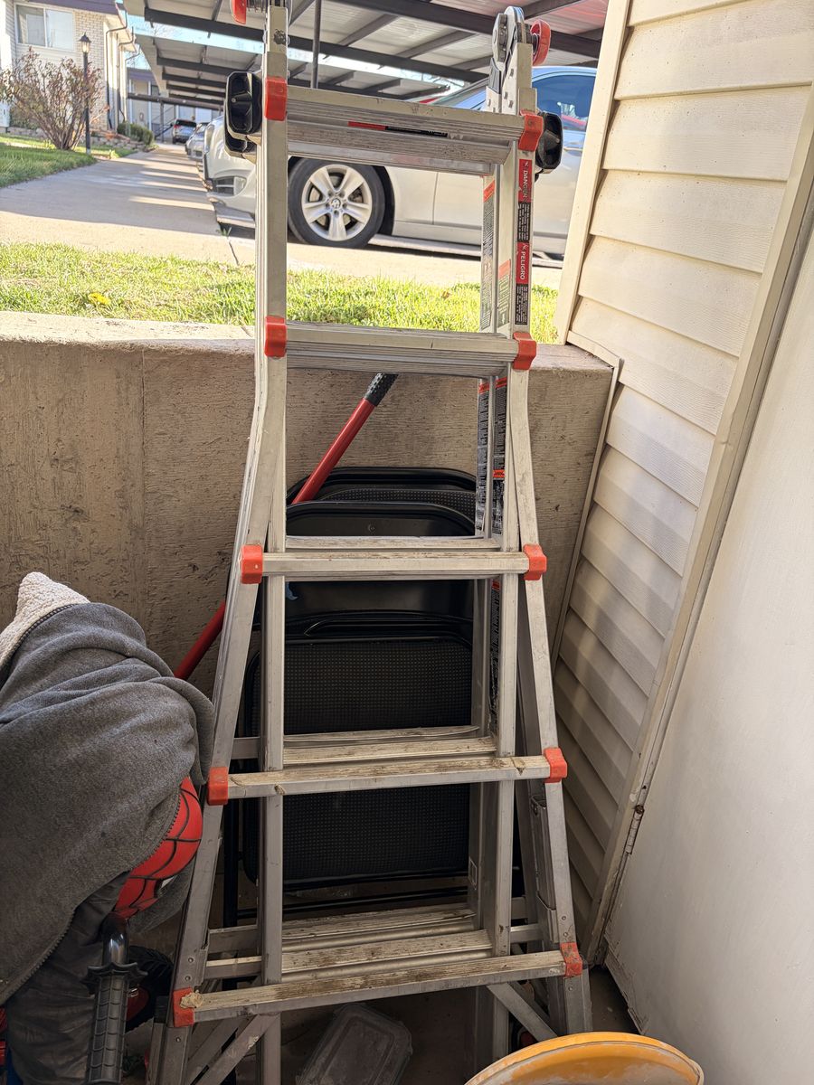 Ladder Little Giant