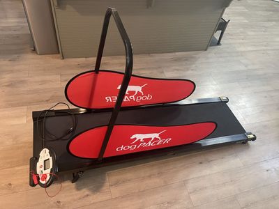 Dog Treadmill