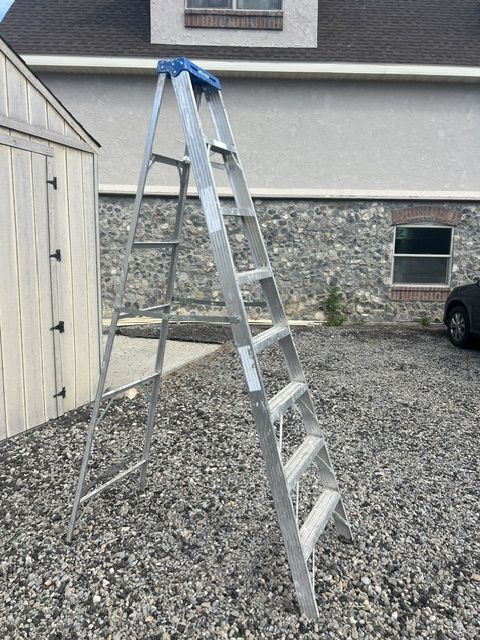 Werner Ladder 8ft