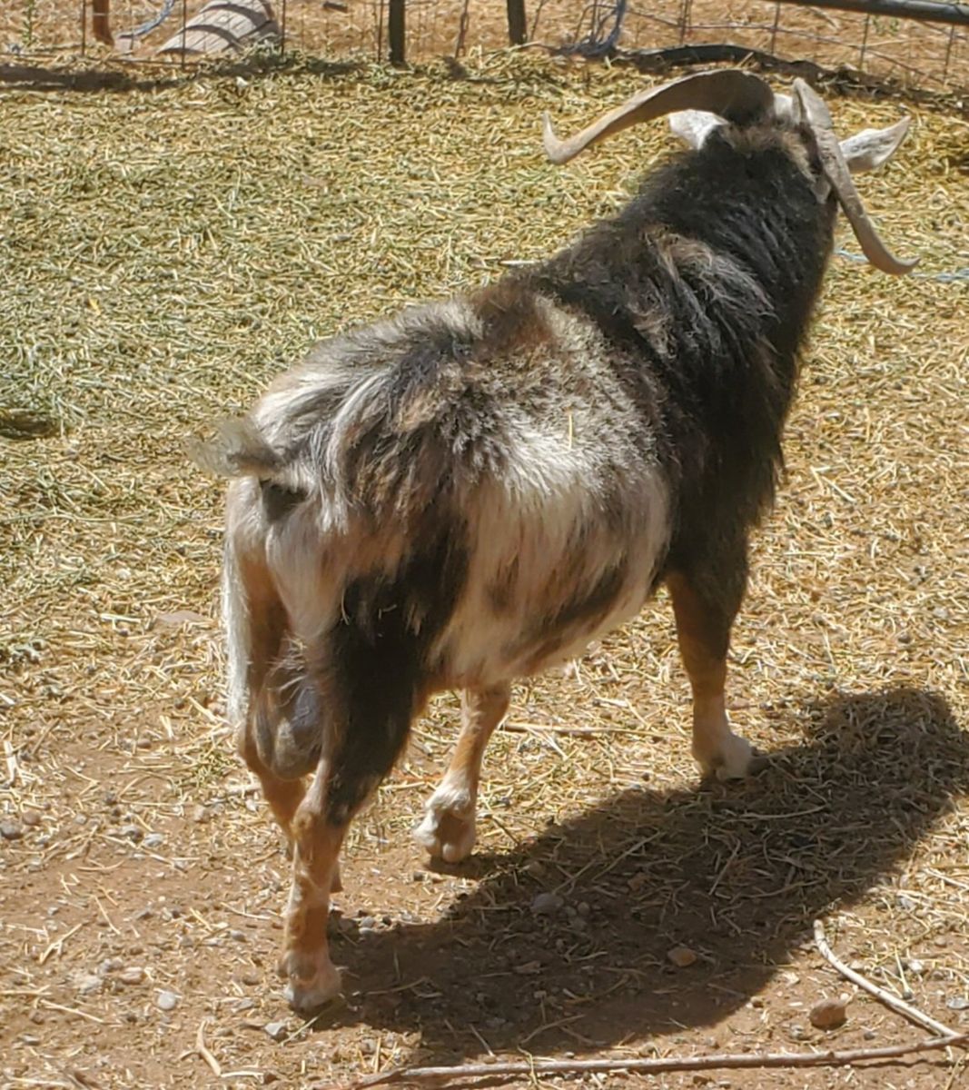 Main image 3