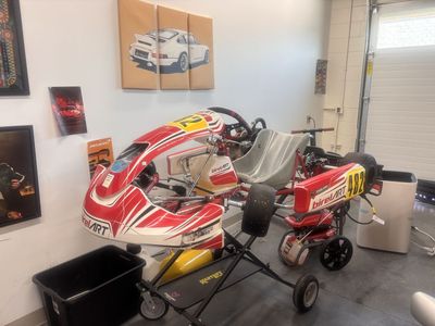 Birel racing go-kart