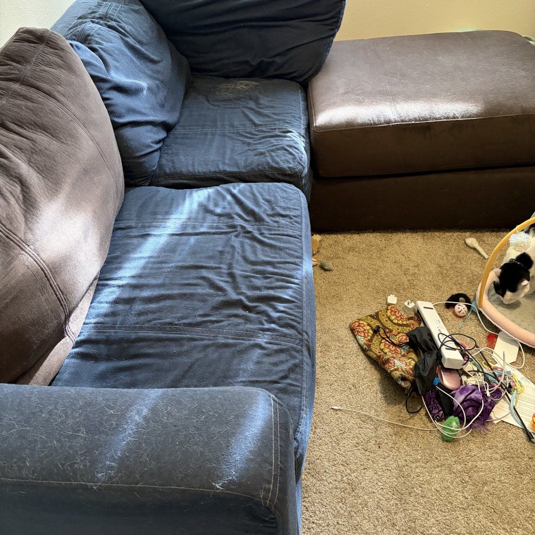 Free LoveSac Couch