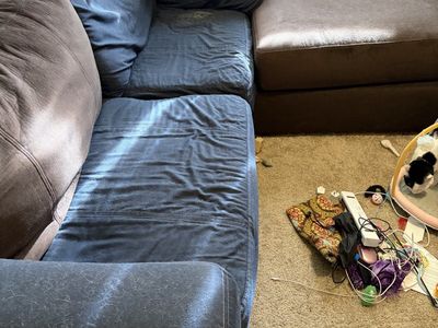 Free LoveSac Couch