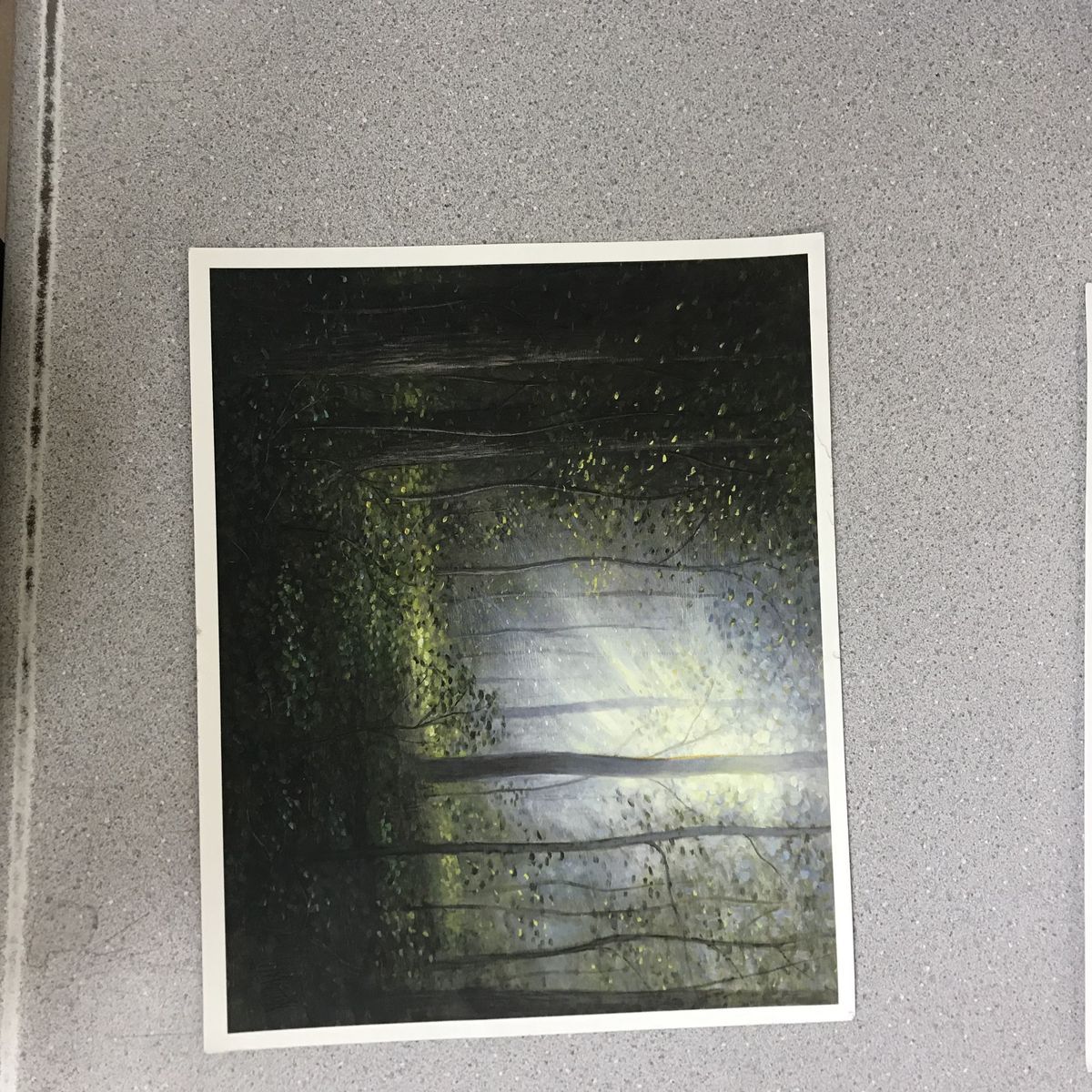 Sacred Grove Picture by Mc Naughton Fine Arts