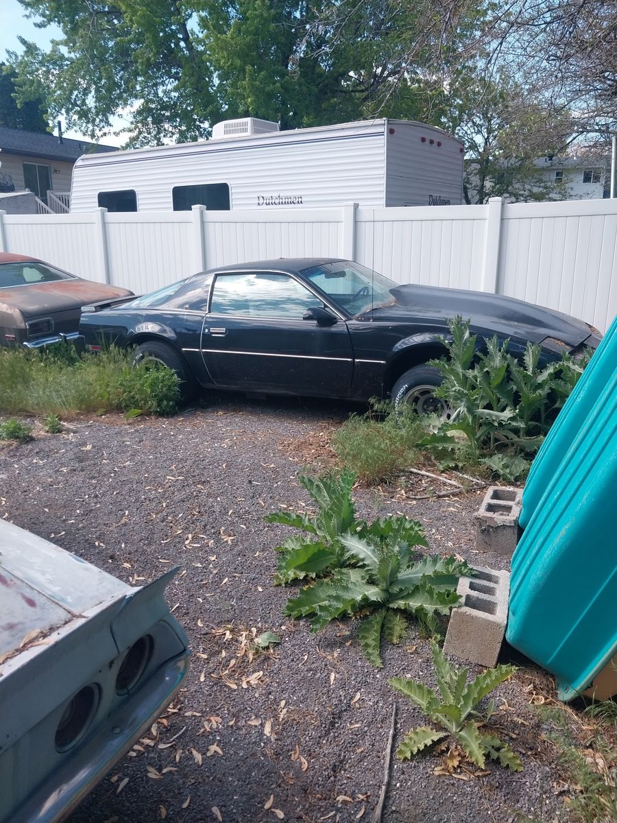 1982 Pontiac Firebird Base