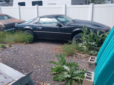 1982 Pontiac Firebird Base