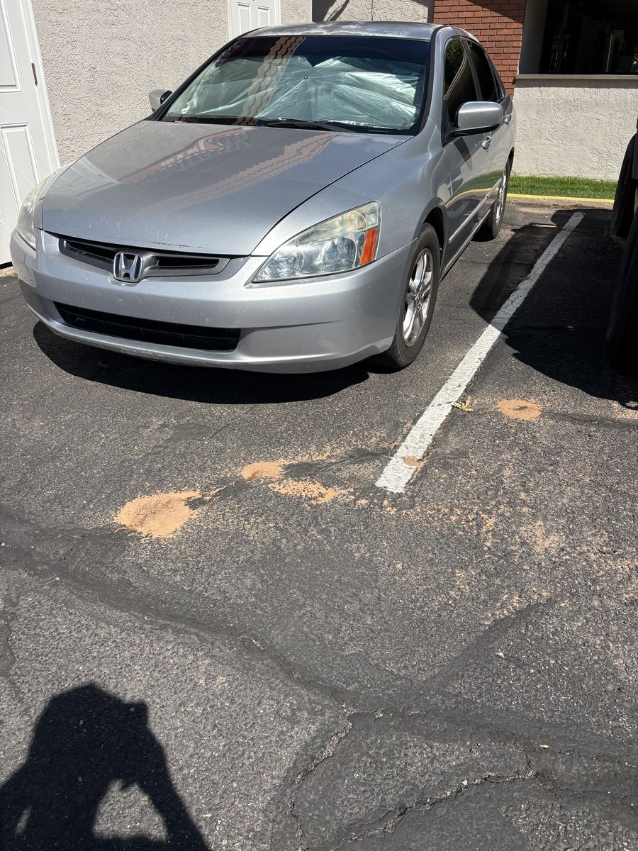 2006 Honda Accord LX Special Edition