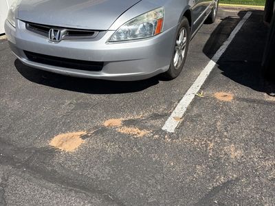 2006 Honda Accord LX Special Edition