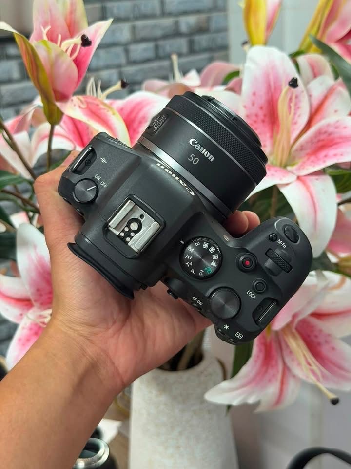 R6, rf50mm stm , rf24-70mm f2.8 usm