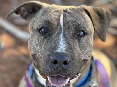 Hello my name is Lennie