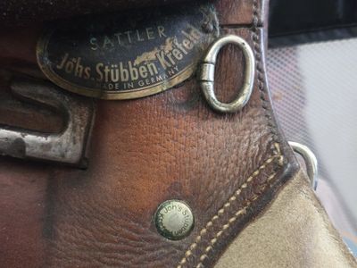 16.5" stubben